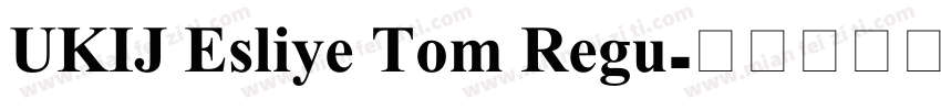 UKIJ Esliye Tom Regu字体转换
